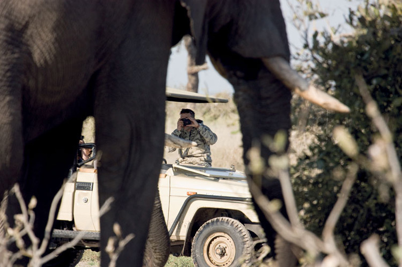 Navigate Your Own Safari on Orient-Express' Self-Drive Adventure